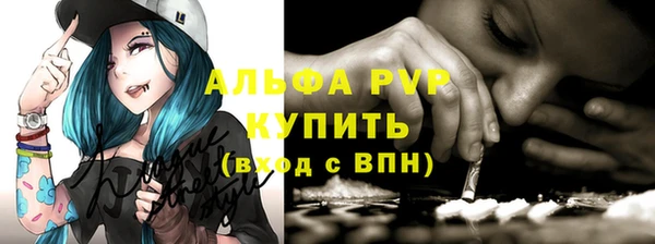 сатива Беломорск