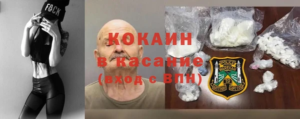 сатива Беломорск