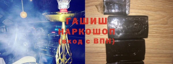 сатива Беломорск
