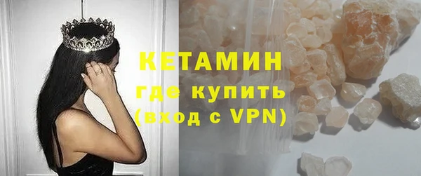 сатива Беломорск