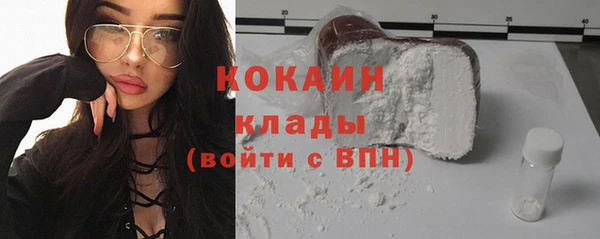 сатива Беломорск
