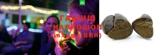 сатива Беломорск