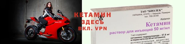 сатива Беломорск