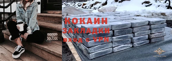 сатива Беломорск