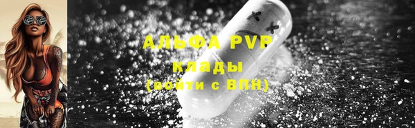 сатива Беломорск