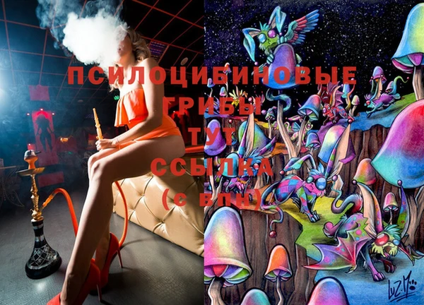 экстази Белокуриха