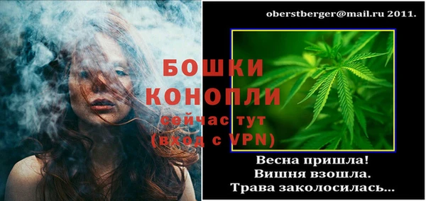 сатива Беломорск