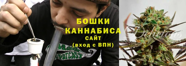 ГАЛЛЮЦИНОГЕННЫЕ ГРИБЫ Белоозёрский