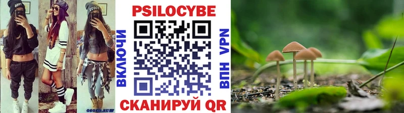 Галлюциногенные грибы Magic Shrooms где купить наркотик Оха